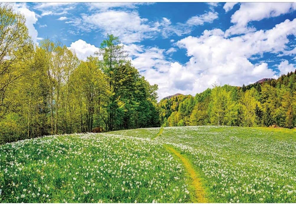 Semiz xotinlarning aldashini tomosha qiling Zuhra Lover porno videolar hammasi