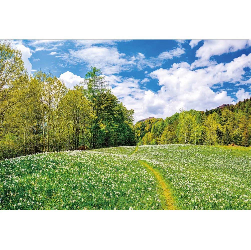 Countryside Farm Field Backdrop for Photography 10x7ft Spring Summer Scenery Green Meadow Sky Clouds Photo Background Party Outdoor Decoration Travel