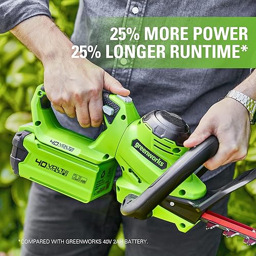 Vista 12 de GreenWorks GREENWORKS 40V 2.0 AH batería de iones de litio 29462