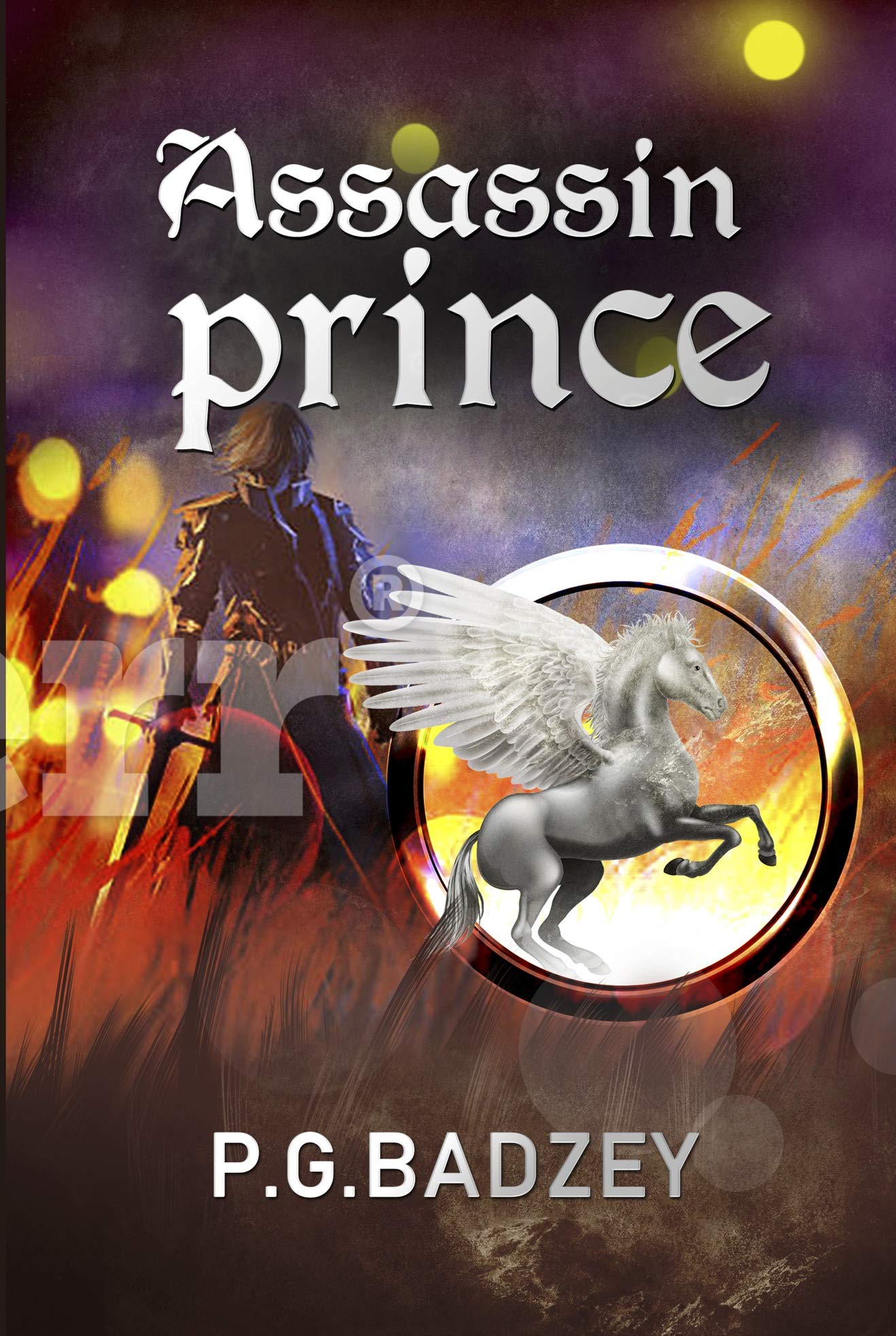 Assassin Prince: The Grey Riders, Book 4