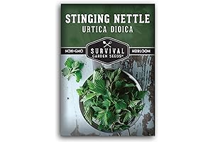 1 Packet Stinging Nettle Seed for Planting Non-GMO Medicinal Herb