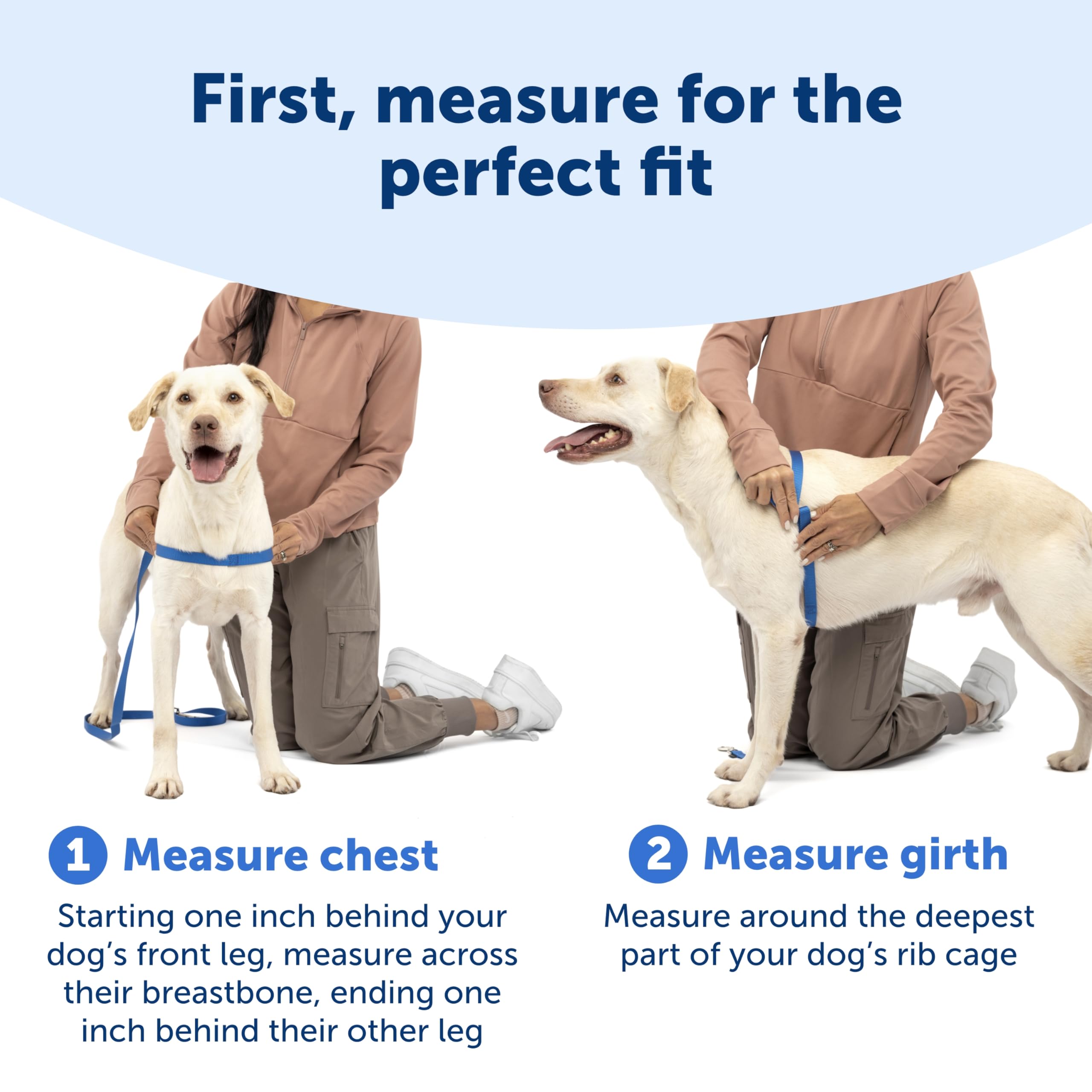 Amazon | PetSafe（ペットセーフ） デラックス イージーウォーク