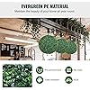 Product Photo 3