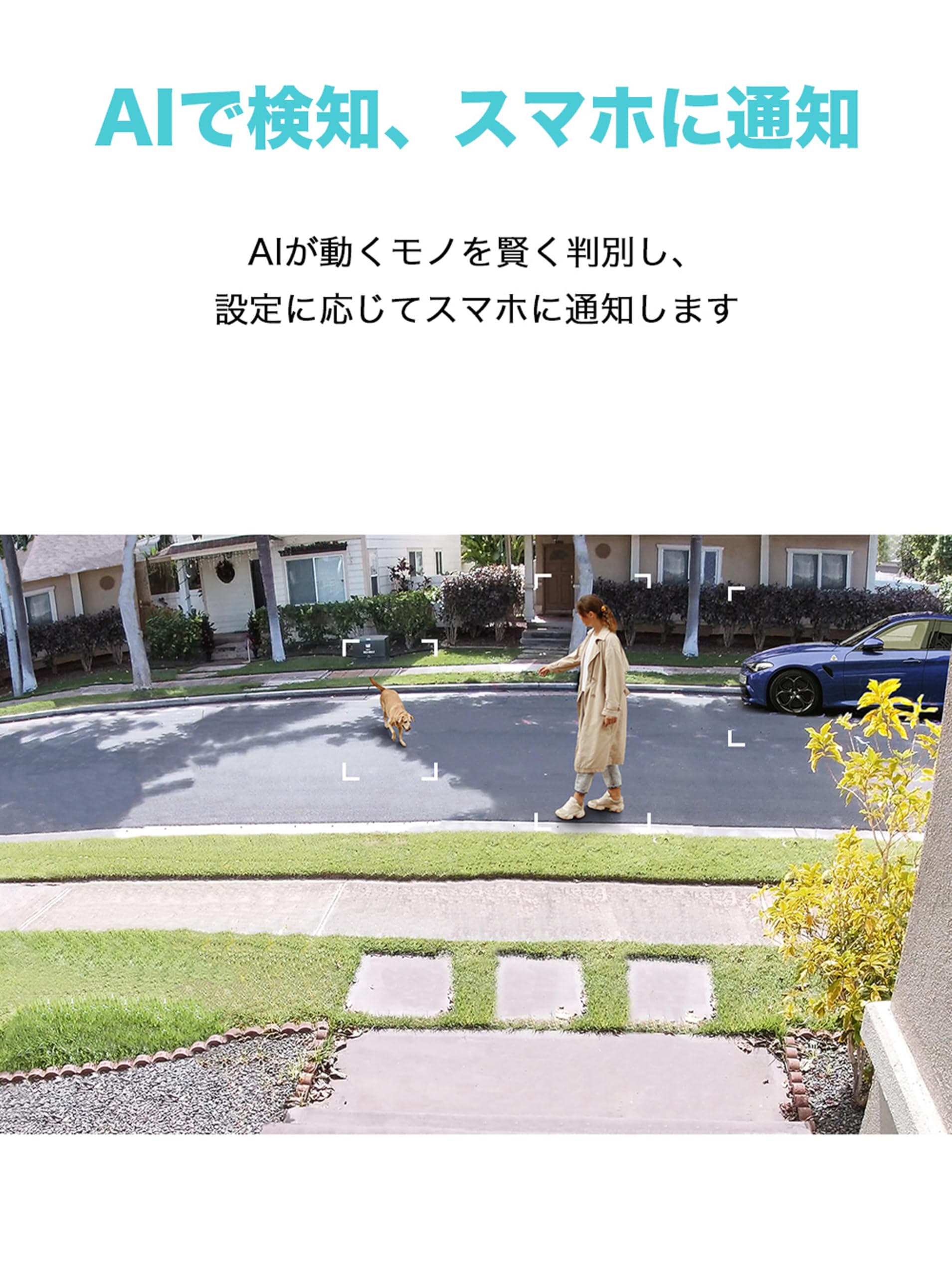Amazon | TP-Link フルワイヤレス ネットワークカメラ 屋外 ペット