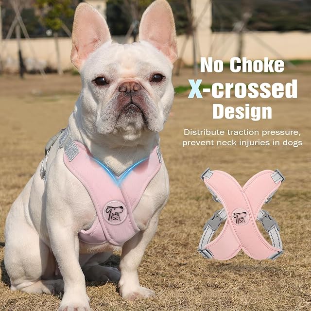 Foto 3 de 7 de Pawaboo Conjunto de arnés y Correa Ajustable para Perros pequeños