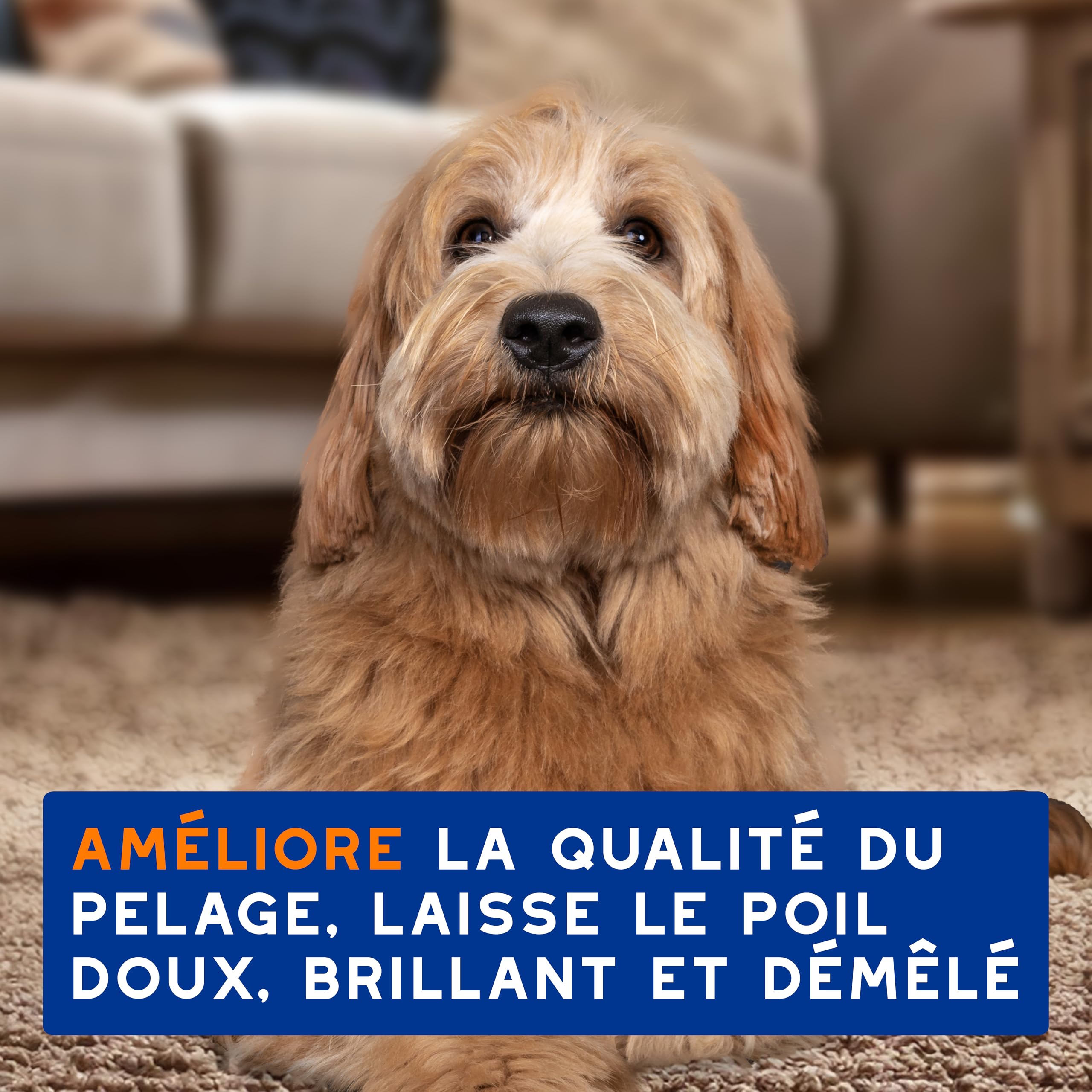 DOUXO Skin & Coat Spa - Ultra-Safe Shampoing 2 en 1 démêlant pour Chiens, 250 ML, nettoie et Hydrate en Profondeur la Peau et Le Poil, Laisse Le Pelage Doux, Soyeux et démêlé, respecte la Peau.