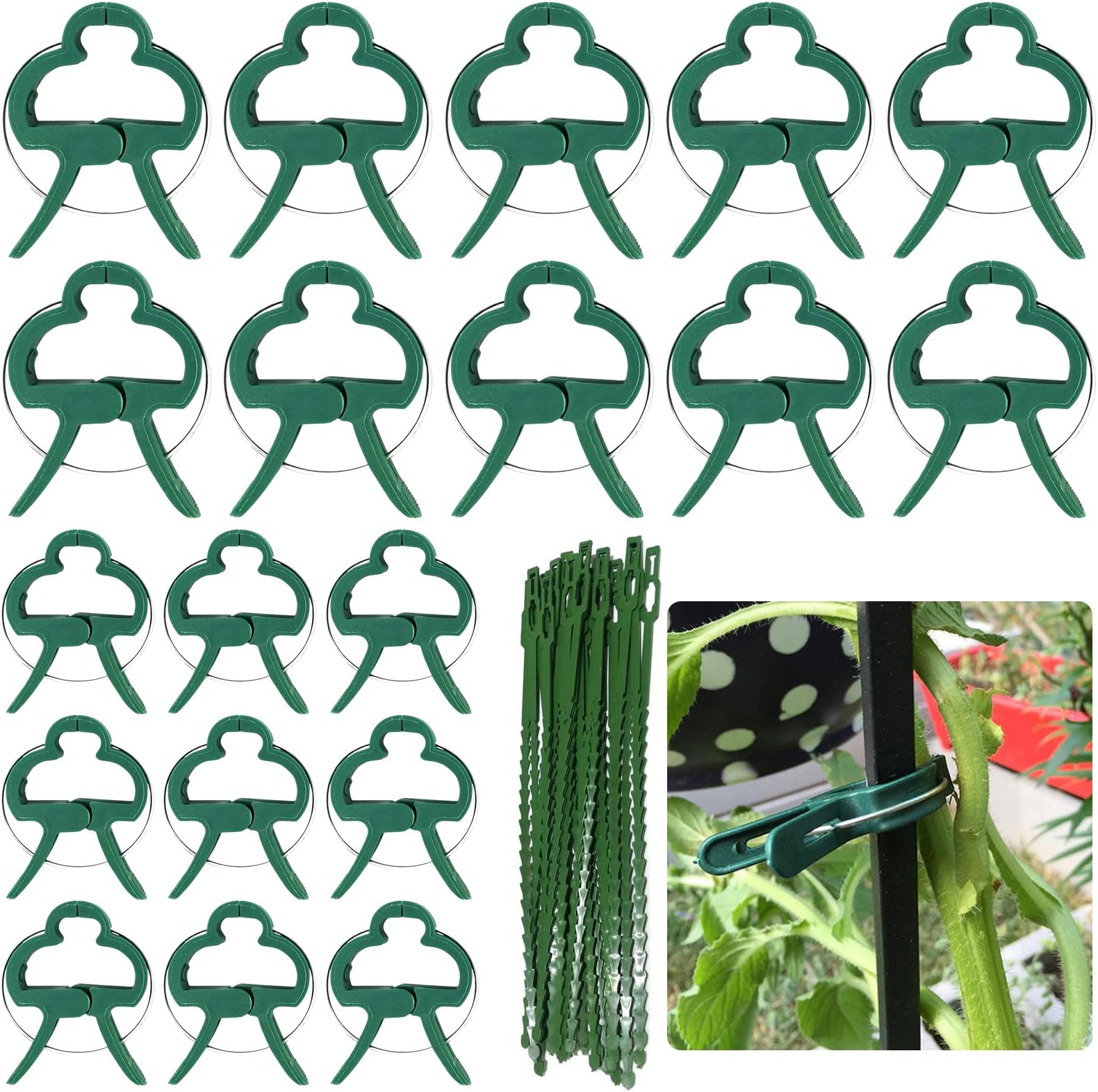 200 Stück Pflanzenklammern Wiederverwendbar - Transparente Clips Für Tomaten, Gurken & Rankpflanzen (2,5-2,7cm) - Inkl. Gratis-Zubehör