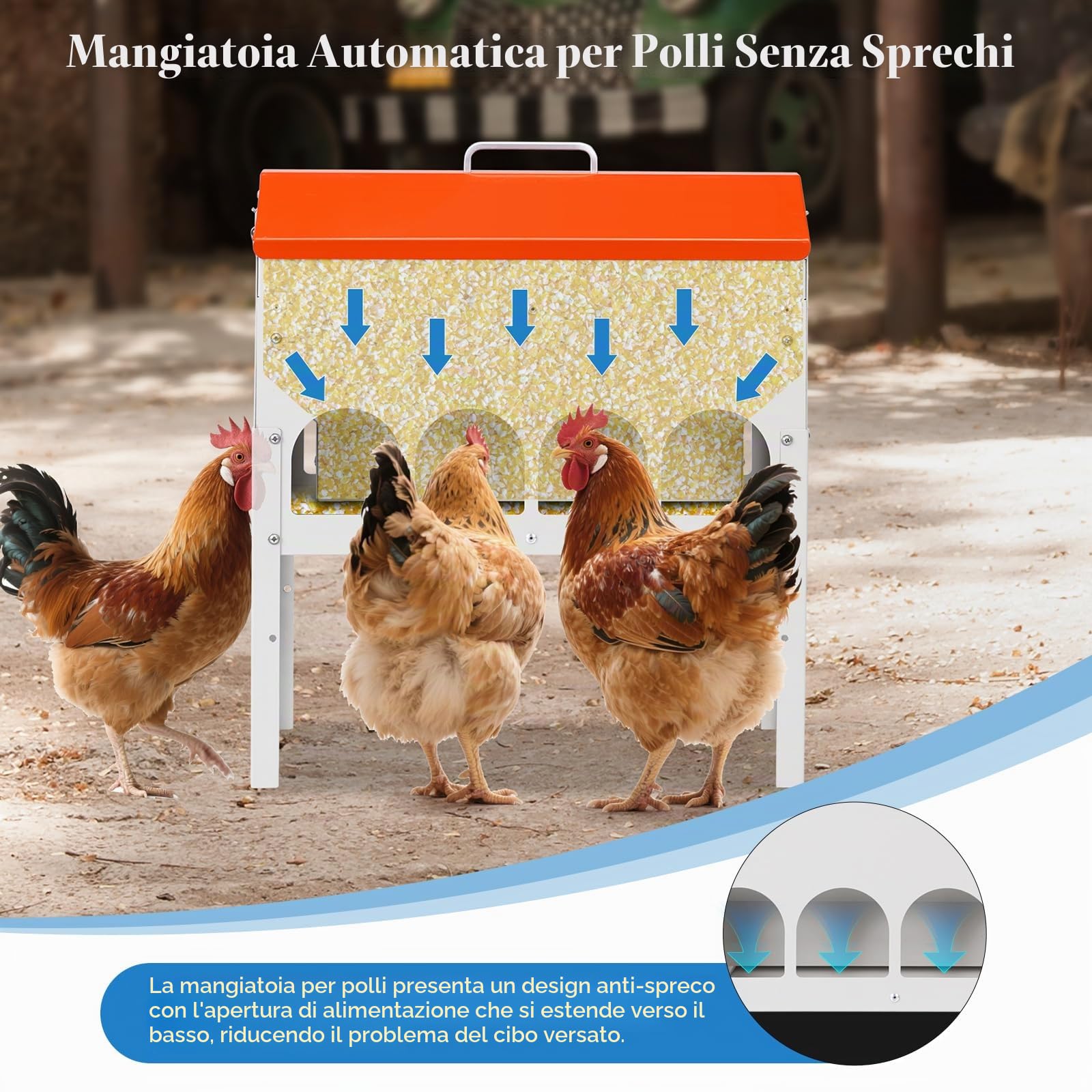 angiatoia Automatica Per Polli da Mangiatoia Per con gambe regolabili