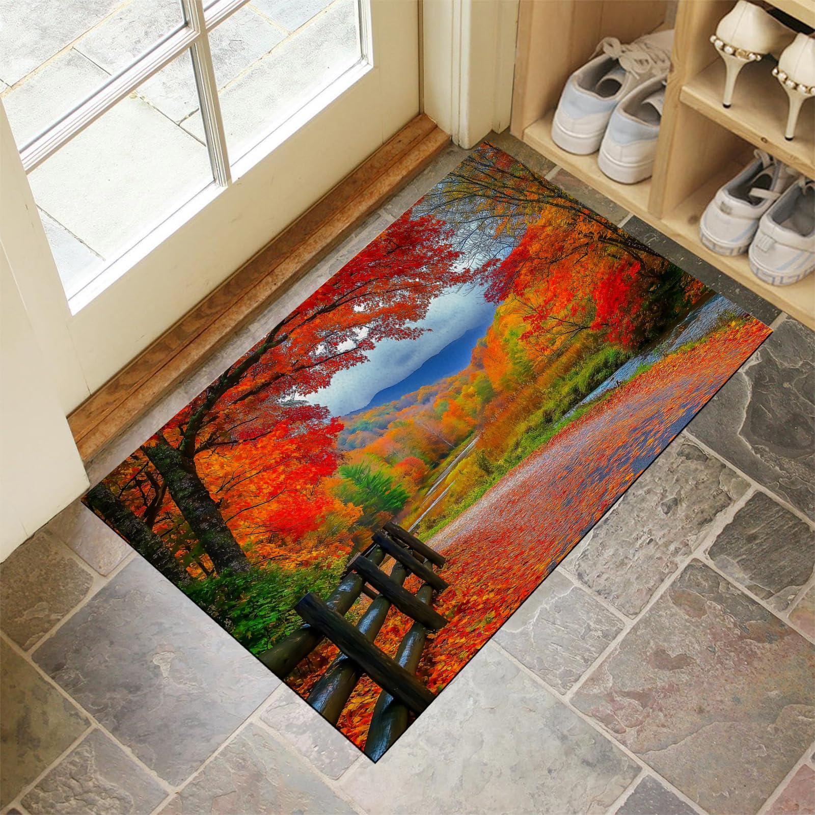 Paillasson extérieur antidérapant 80x120 cm fini la boue dans l'entrée