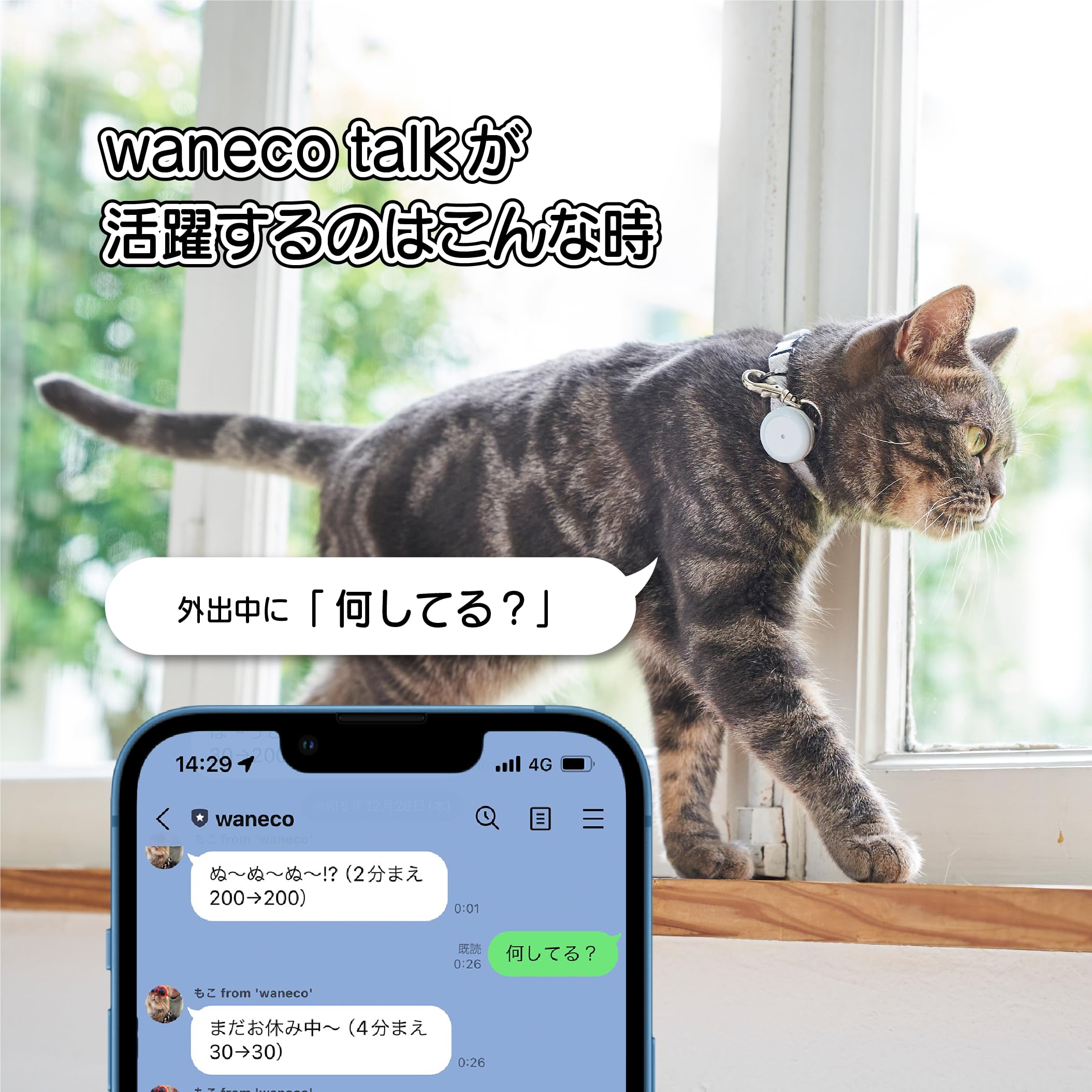 Amazon.co.jp: wanecotalk（ワネコトーク）｜ペットとLINEで会話できる