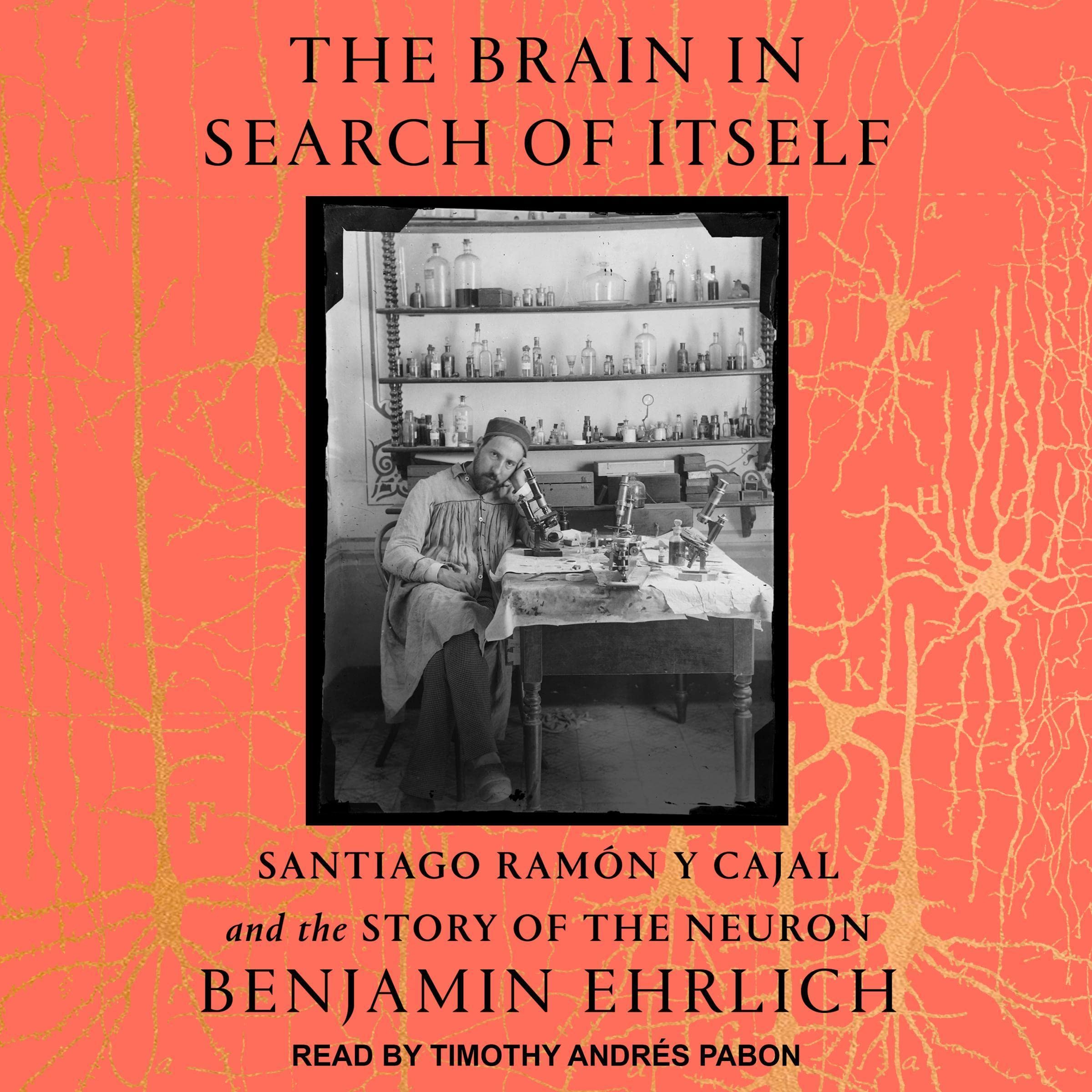 Cover art for The Brain in Search of Itself