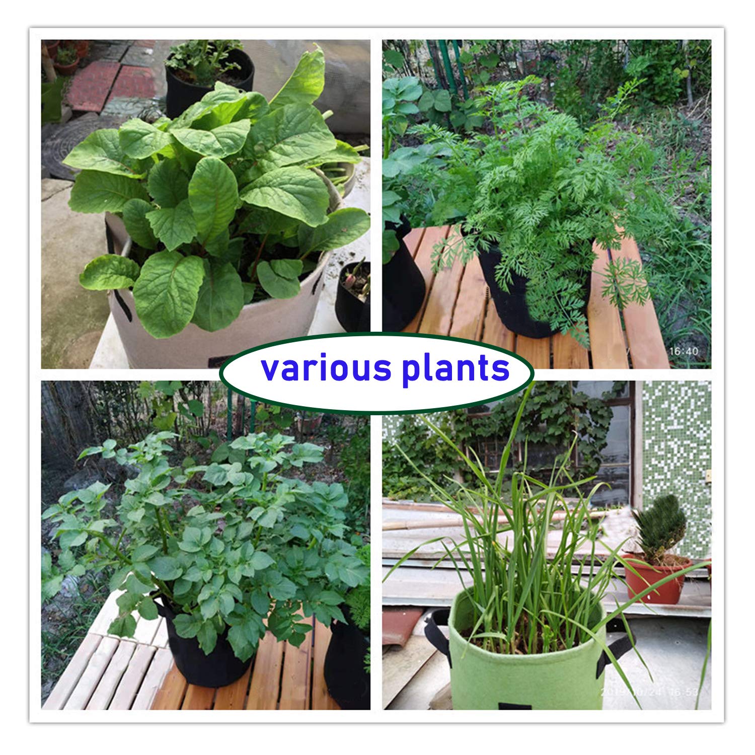 Bolsas de cultivo de patatas, macetero de cultivo de patatas de 6,5 galones, 3 paquetes, maceta con solapa y asas, bolsas de cultivo de plantas no tejidas for patatas, tomates, zanahorias y otras verd