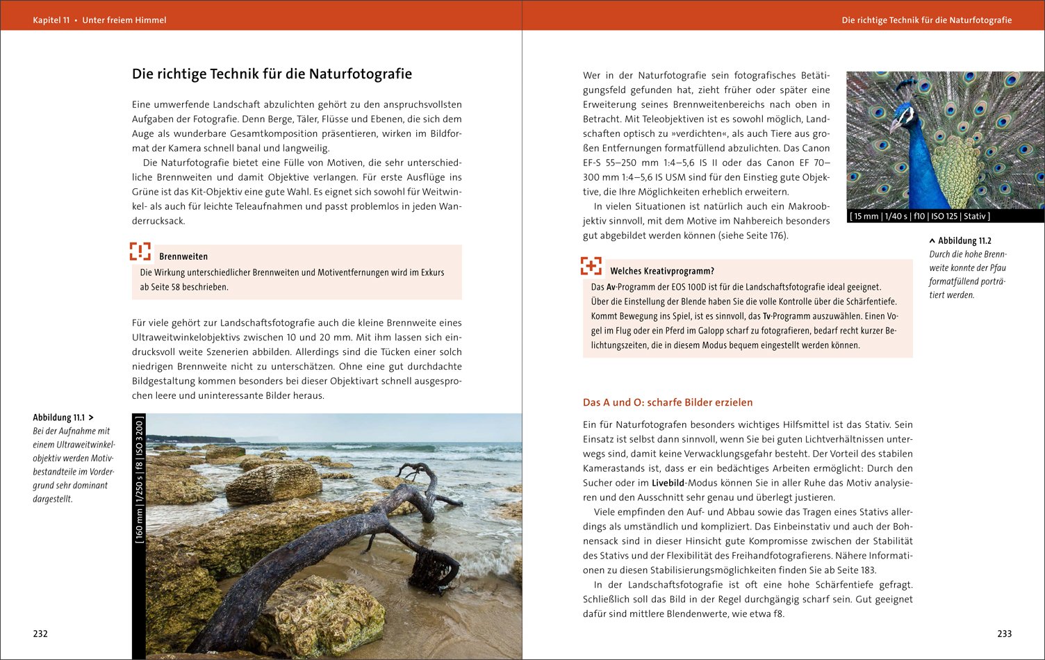 Canon EOS 100D: Das Handbuch zur Kamera