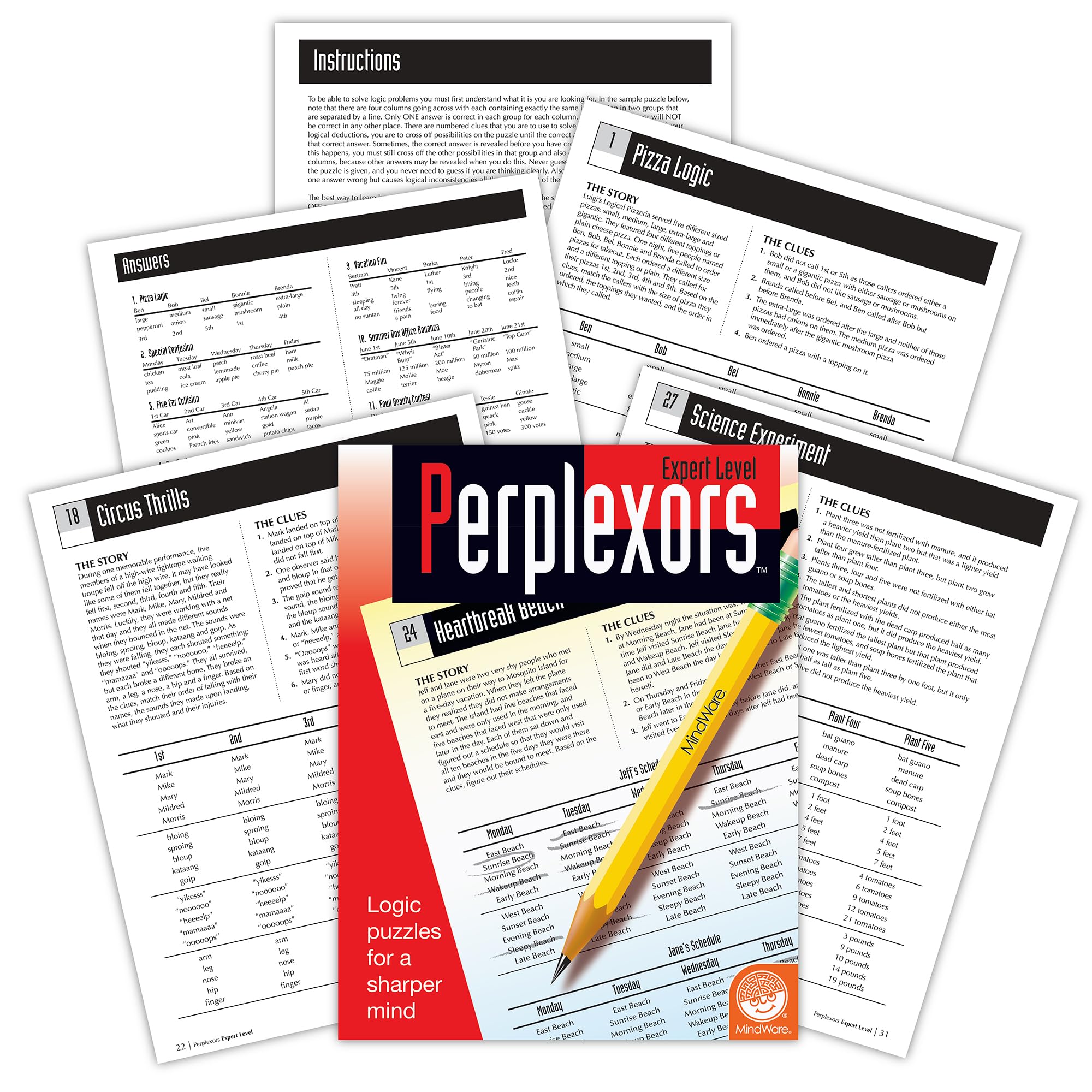 MindWare Perplexors: Expert Level