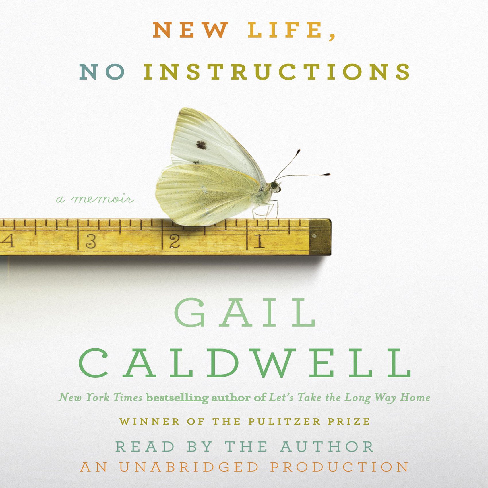 Cover art for New Life, No Instructions
