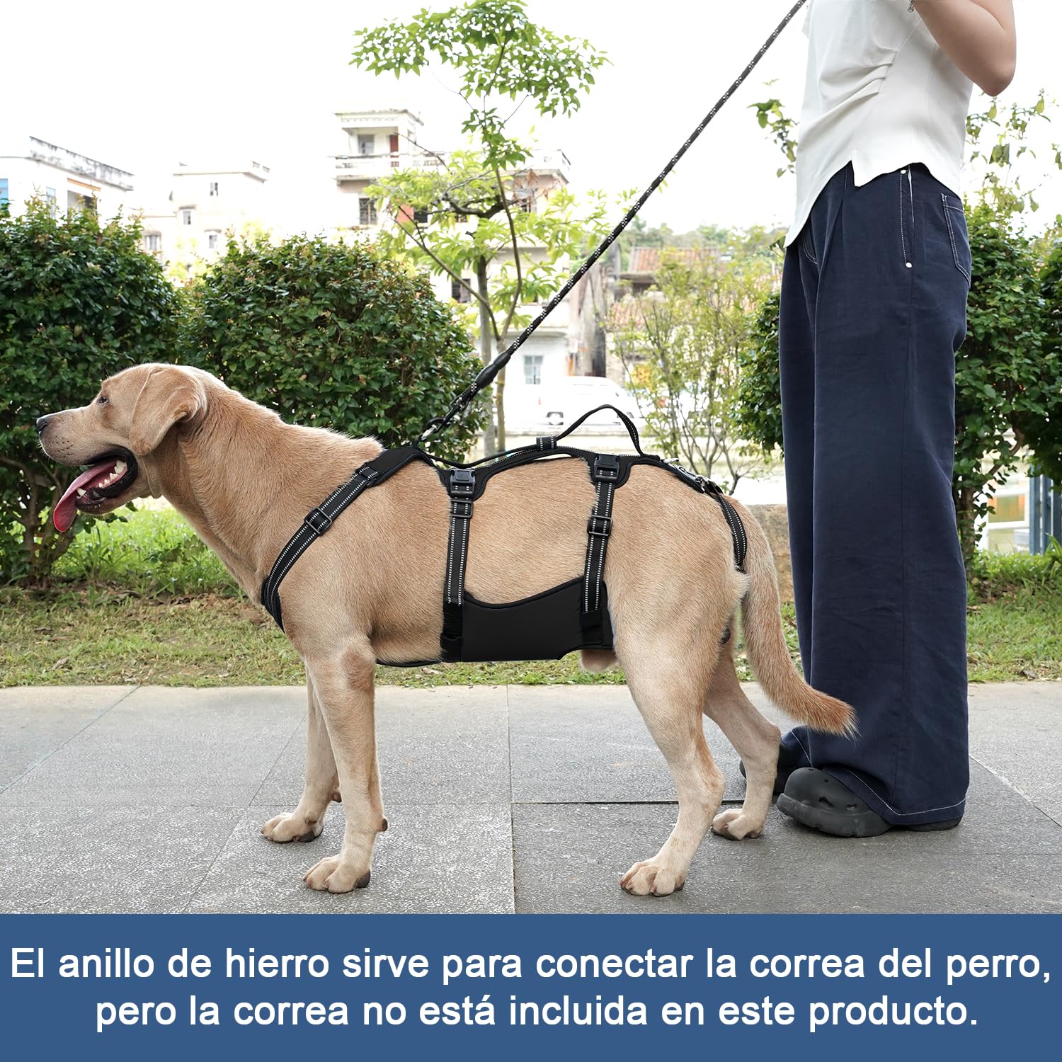 COODEO Arnés de Elevación para Perros, Faja de Apoyo Total y Rehabilitación, Chaleco Ajustable con Correas Respirables para Perros Mayores, Discapacitados o con Parálisis (Negro, L)