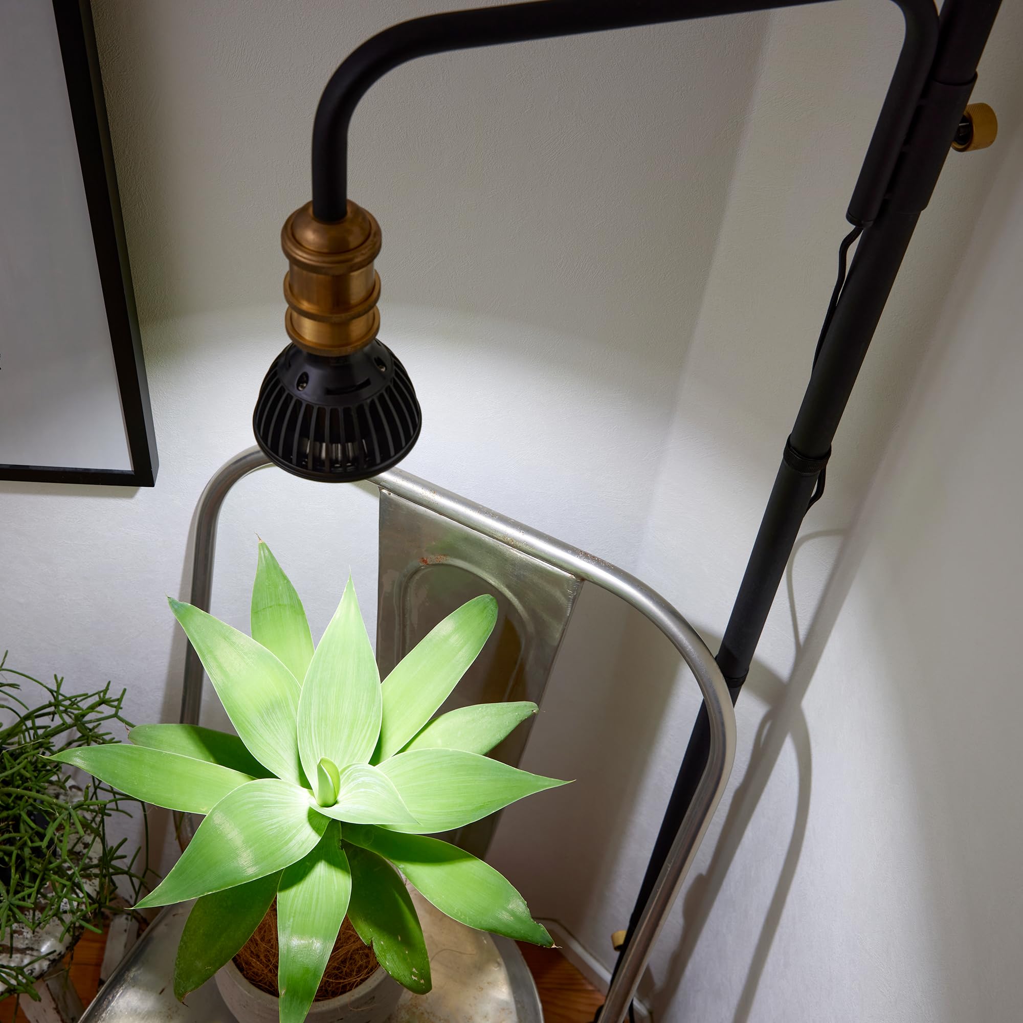 Amazon.co.jp: DRAW A LINE Light Stand SET Black Tension Rod