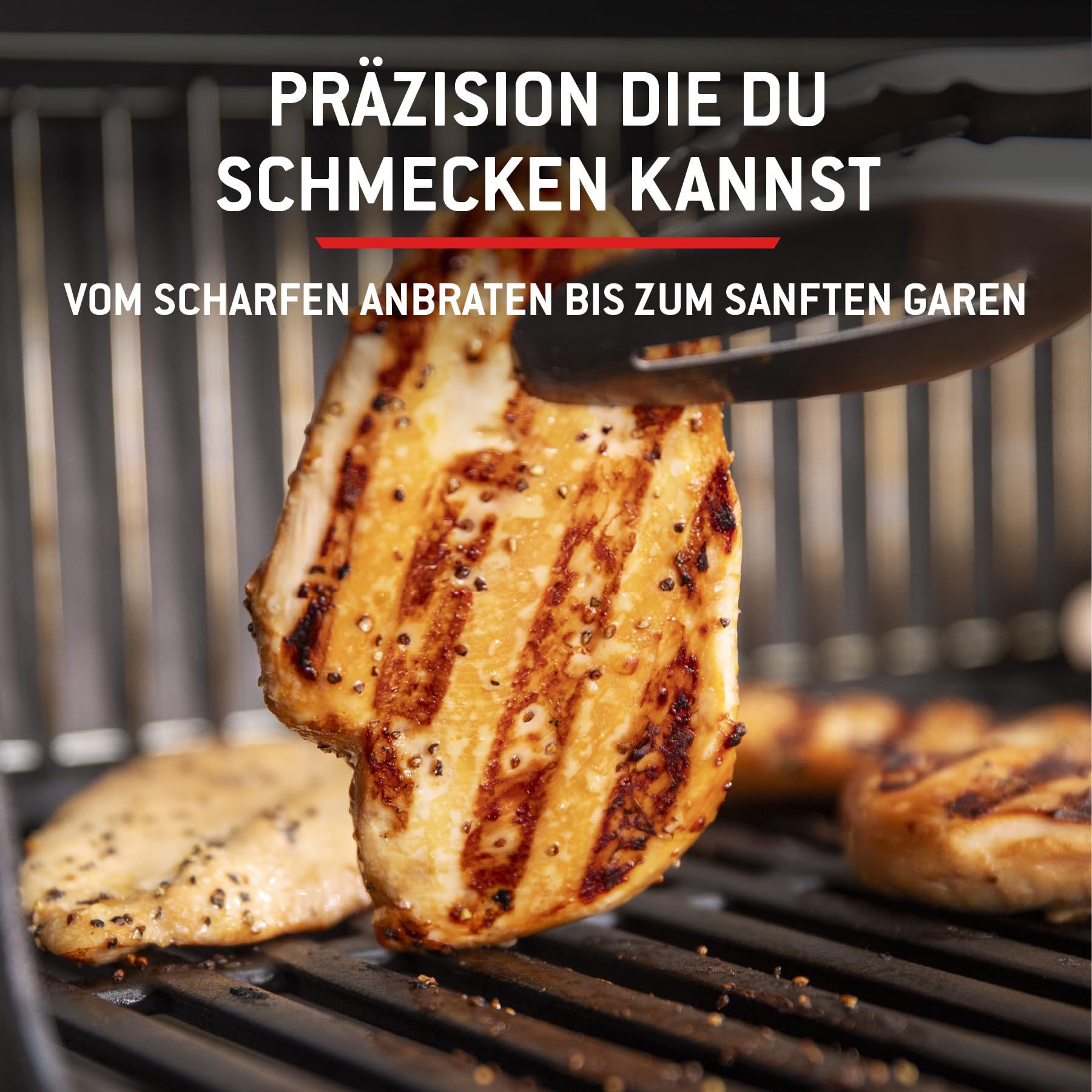Weber Spirit E-310 Gasgrill