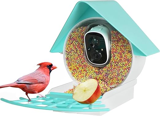 Smart Bird Feeder with Camera, 1080P HD Bird House Camera with Solar Panel, Auto Capture Bird Videos & AI Identify 10,000 Bird Species, App Notification, Free 32G SD Card, Ideal for Gift
