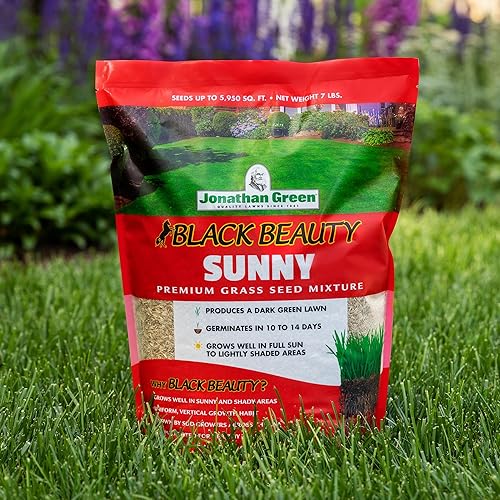 Miniatura 3 de Jonathan Green (10870) Black Beauty Sunny Grass Seed - Semilla de césped de temporada fría (25 libras)
