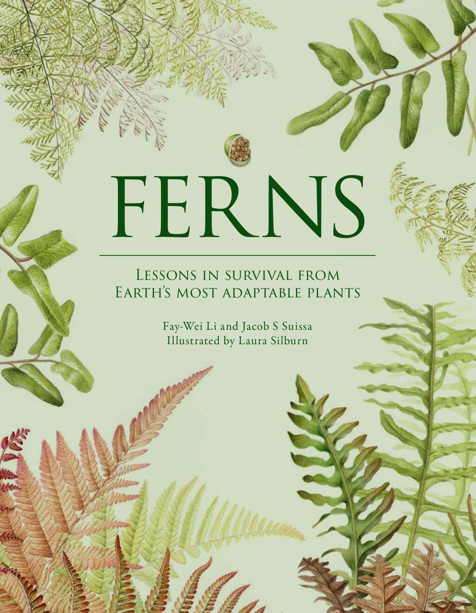 Ferns: Lessons in Survival From Earth's Most Adaptable Plants
