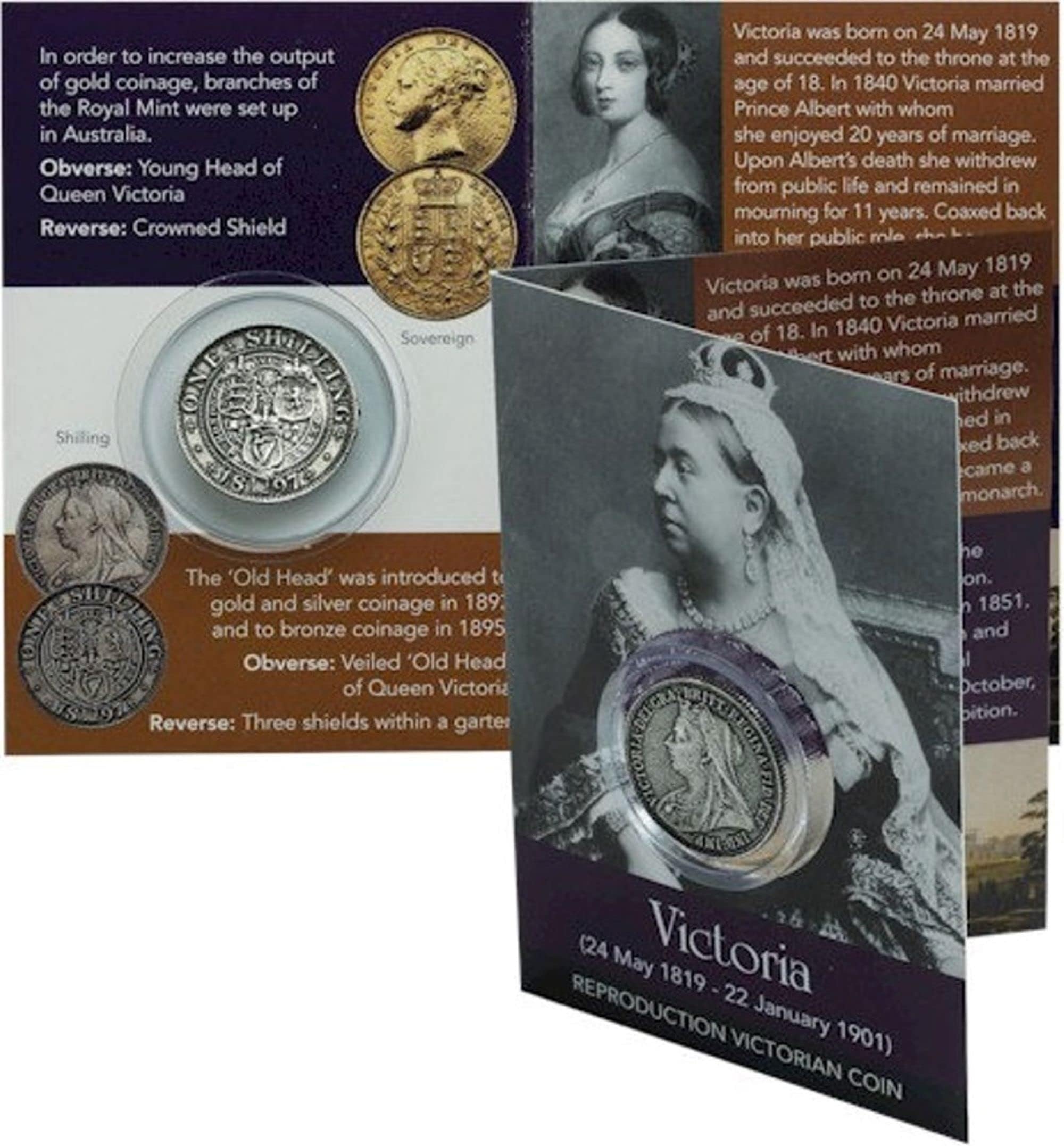 Artsinhistory Queen Victoria Coin Pack - Shilling