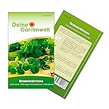 Brunnenkresse Kultivierte Samen - Nasturtium officinale - Brunnenkressesamen - Gem&uuml;sesamen - Saatgut f&uuml;r 1.000 Pflanzen