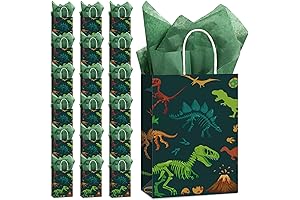 Capoda 16 Pcs Dinosaur Candy Bags for Birthday Party