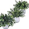 Product Photo 6