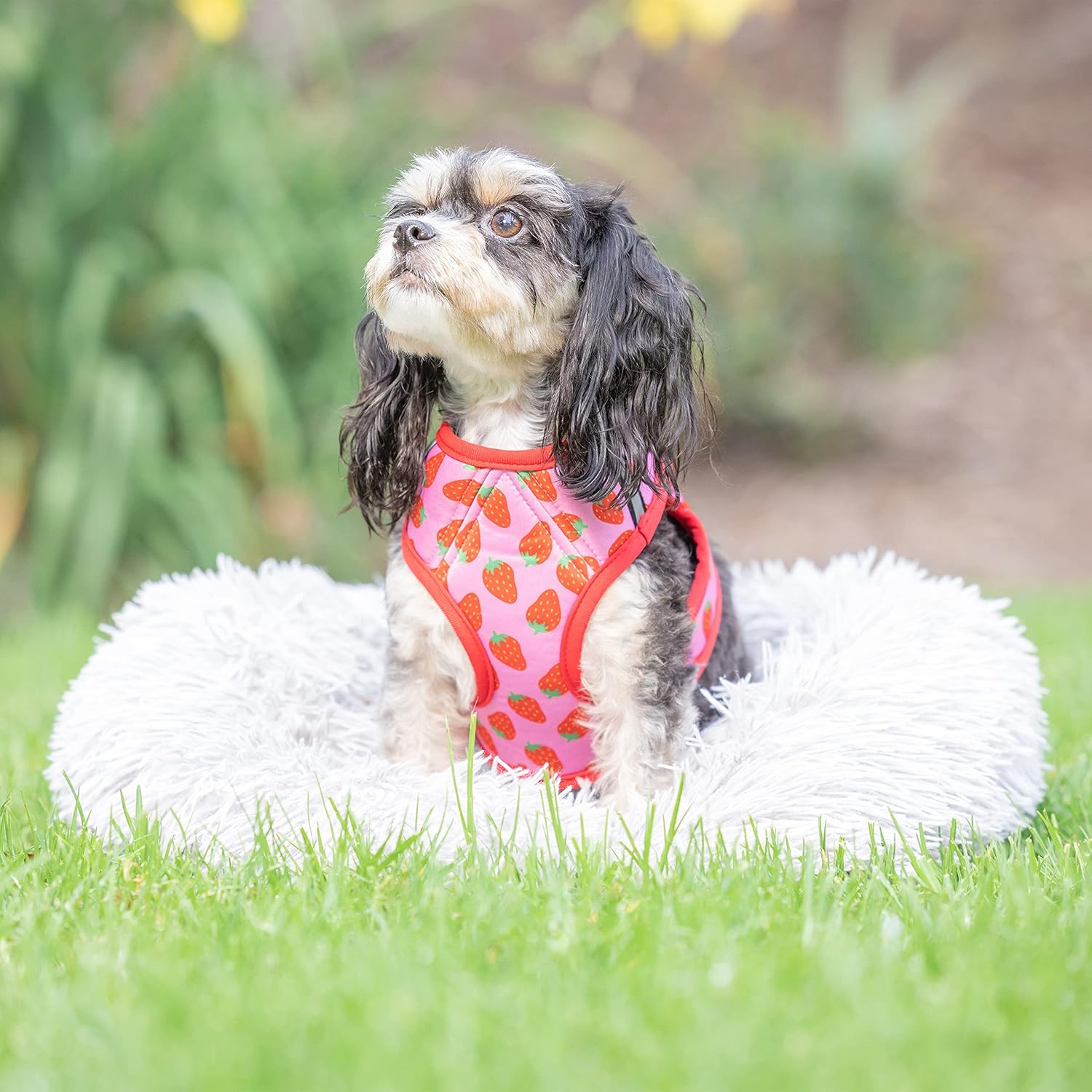 Huxley & Kent Hudson Harness | Strawberry (XXS, 2-6lbs) | Easy Control Step-in Mesh Vest Harness for Dogs with Reflective Strips for Safety | H&K Walking, Training Harness for Dogs
