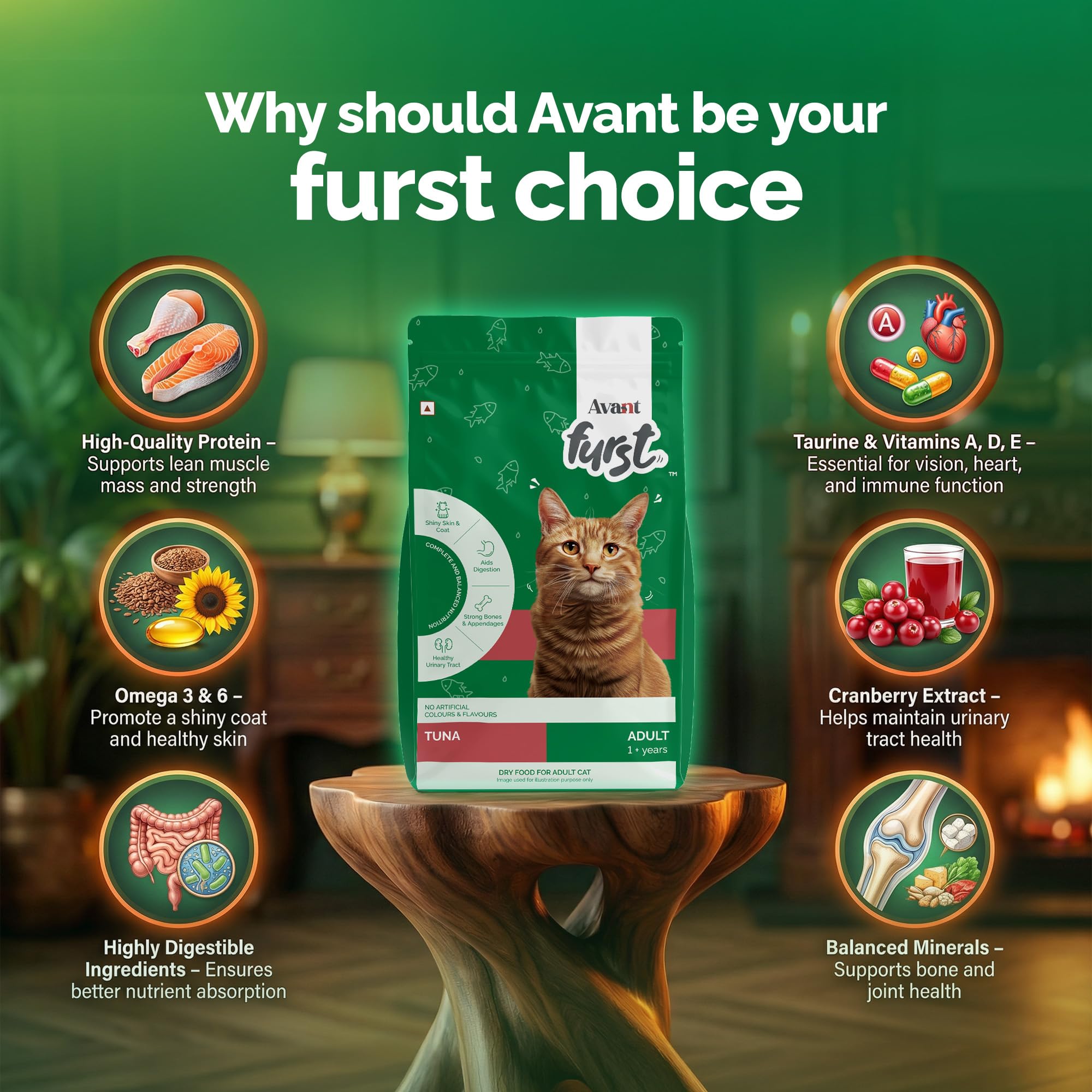 Avant Furst Adult Dry Cat Food Tuna Fish Flavor, Cat Food Dry with Real Tuna Fish, Taurine, Omega 3 & 6, No Artificial Additives, Daily Nutrition for Adult Cats, 400g 2