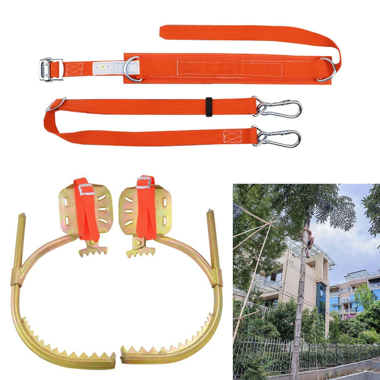 Crampons d'escalade durables en acier avec mousqueton de verrouillage robuste