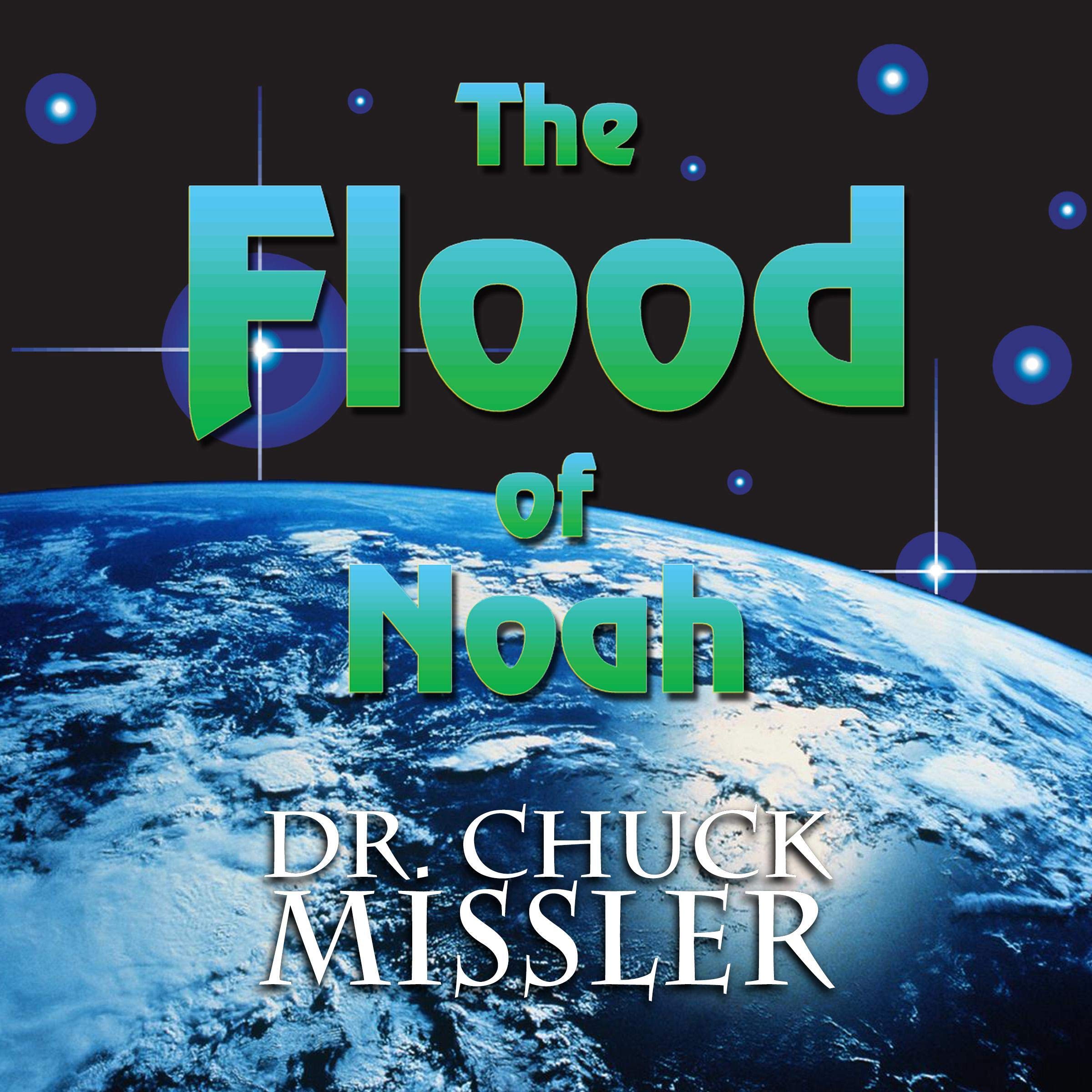 Cover art for Flood of Noah 2K