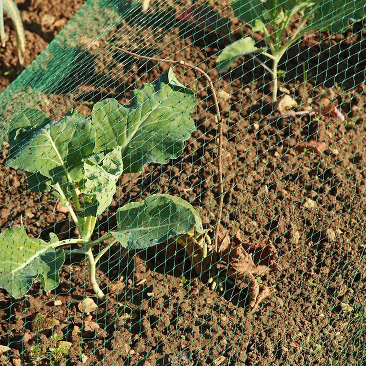 Abimars Garden Netting for Plants, 4m x 6m Pea Fruit Netting Pond Mesh