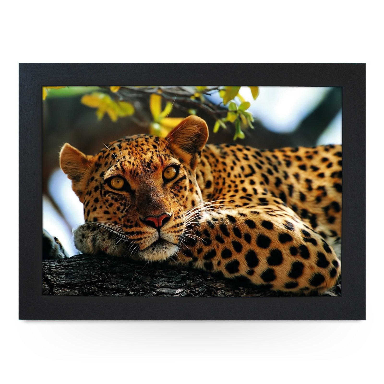 Yoosh Black Portable Lap Desk Tray (Leopard In Tree) Handmade Wooden Frame, Beanbag Cushioned Bottom | Computers, Laptops, Meals, Food | L0047