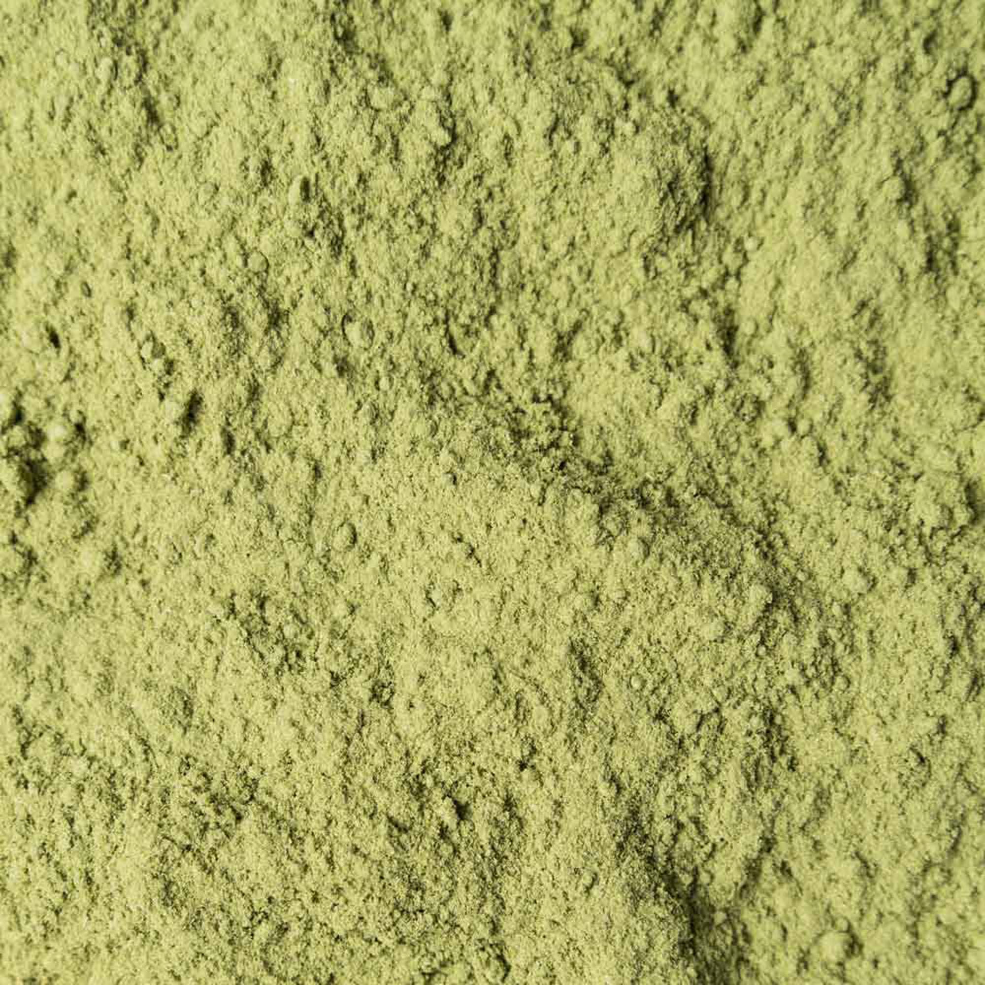 Biotiva Polvo de hierba de trigo orgánico 1000g (2x 500g) - polvo fresco de hierba de trigo fina - llenado y verificado en Alemania (DE-ÖKO-005)