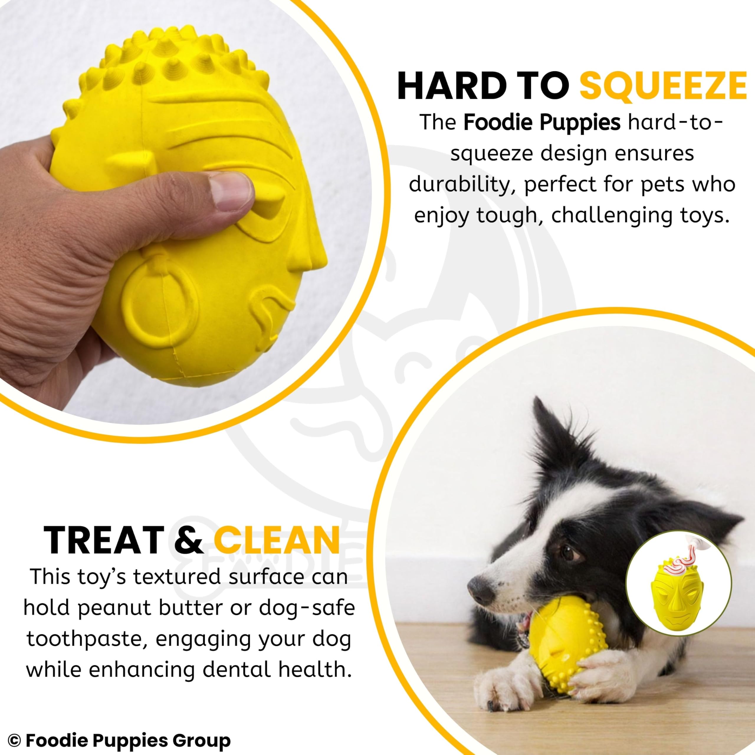 Foodie Puppies Pet Squeaky Dog Toy - (Buddy), Durable Rubber Chew Toy for Medium & Large Dogs, Dental Cleaning Textured Surface, Interactive Squeaker Tough Chew Pet Toy, Easy Grip Dog Toy 4