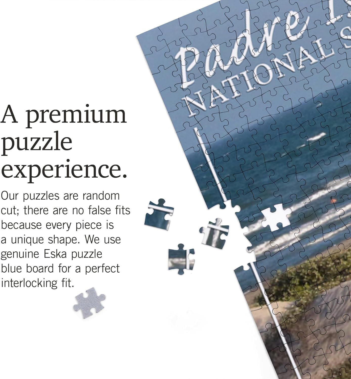 Lantern Press Padre Island National Seashore, Beach 1000 Piece Jigsaw Puzzle for Adults, Made in USA with Reference Poster