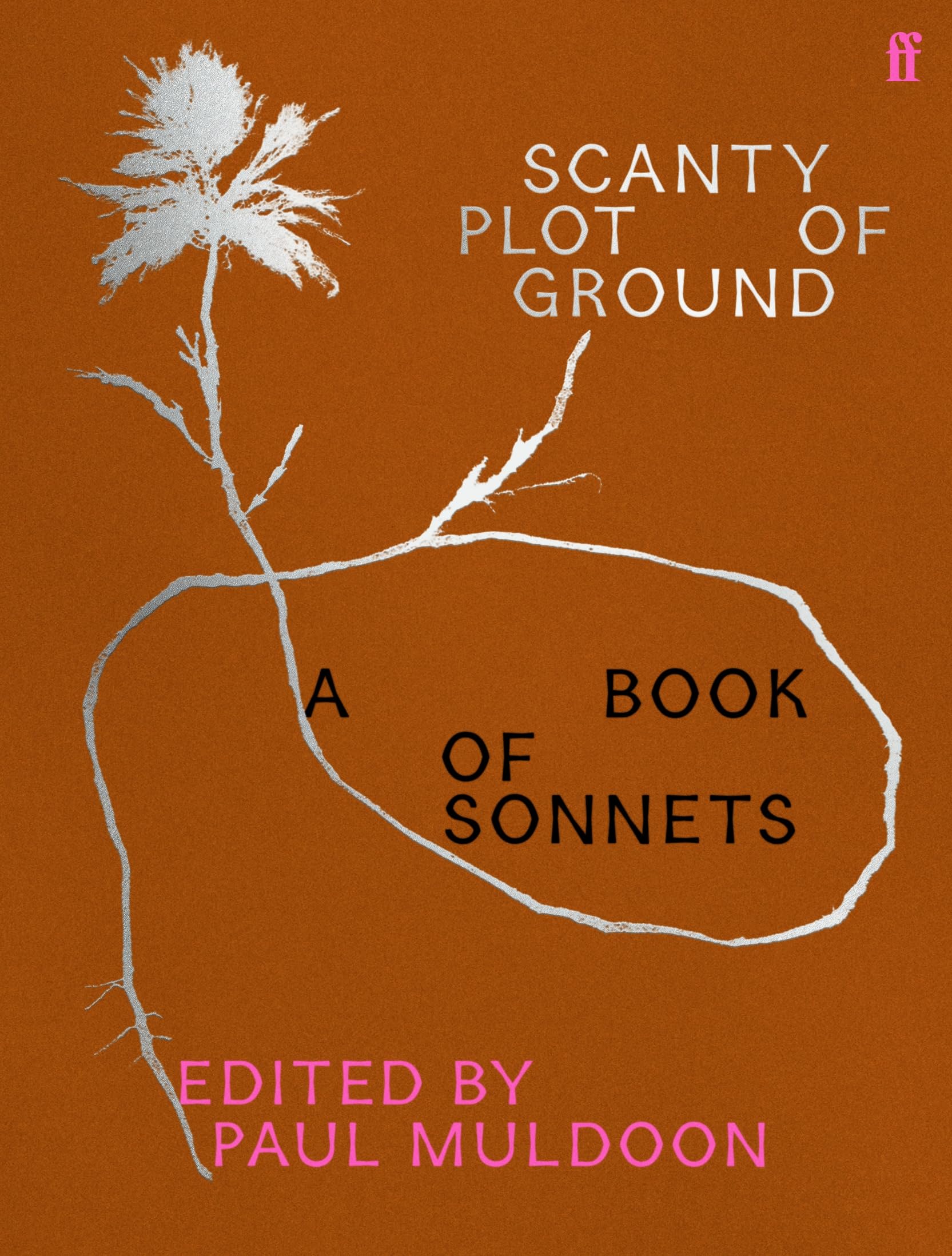Scanty Plot of Ground by Paul Muldoon HARDBACK 9780571373444