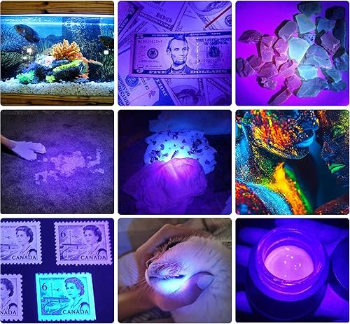 Miniatura 3 de DARKBEAM Linterna UV de 395 nm, luz ultravioleta, luz negra, lámpara de madera, portátil, 400 nm, mini detector para orina de perrogato, manchas de