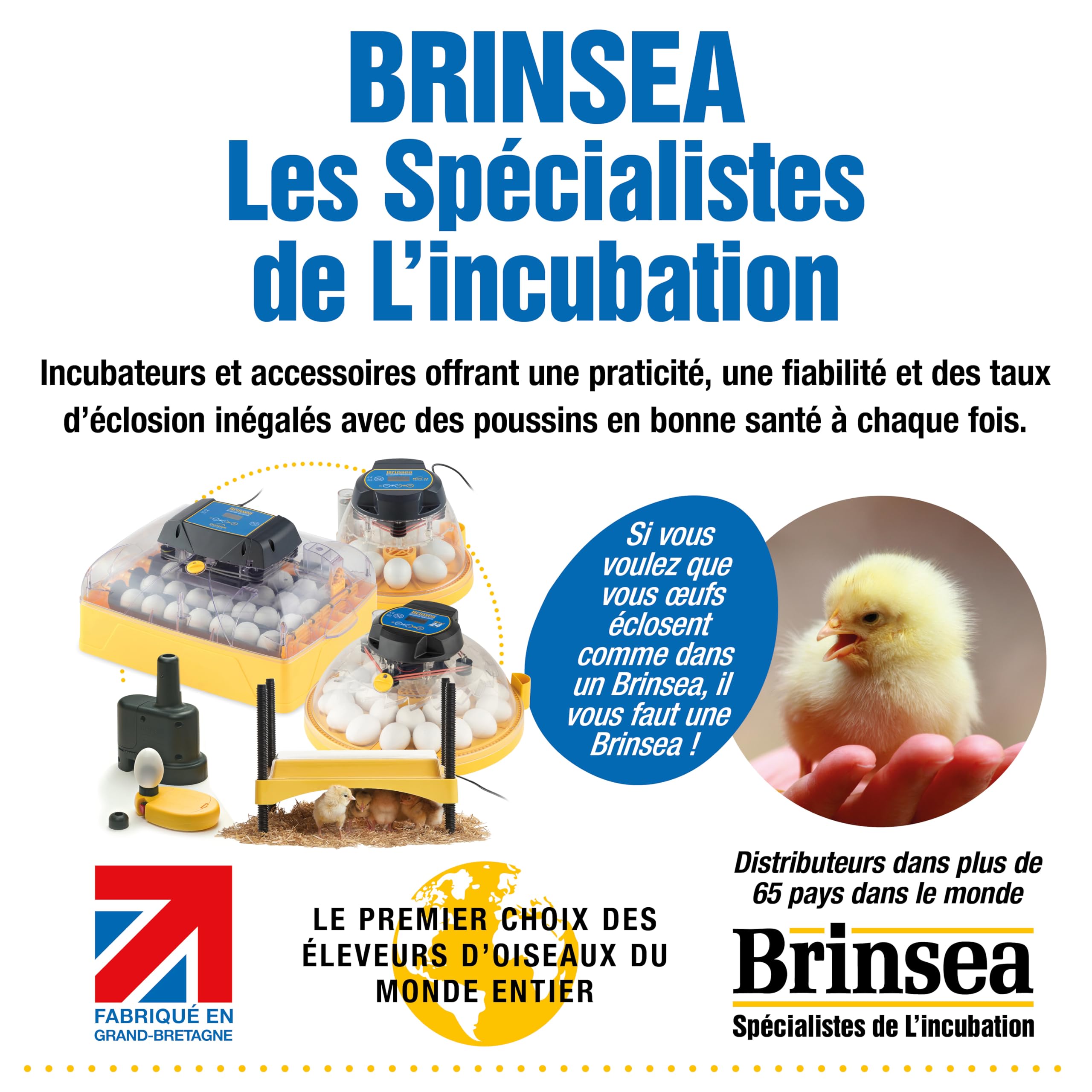 Incubadora Brinsea Maxi 24 EX Connect – Incubadora para 24 huevos de gallina con control completo mediante aplicación móvil.