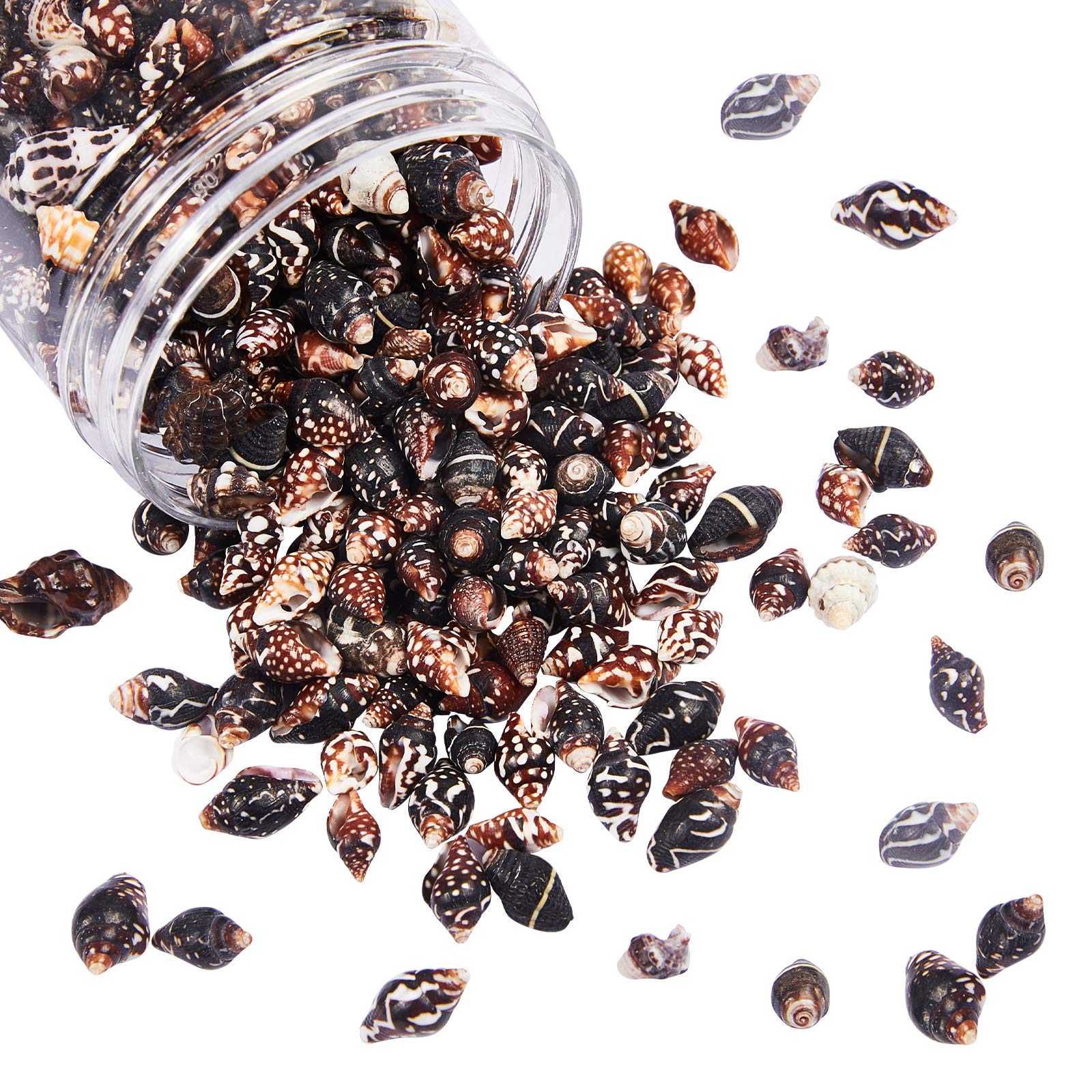 NBEADS About 332 Pcs Natural Spiral Shell Beads Undrilled Seashell Beads Beach Seashell Charms for DIY Summer Ocean Craft Jewelry Making Wedding Party Home Decor