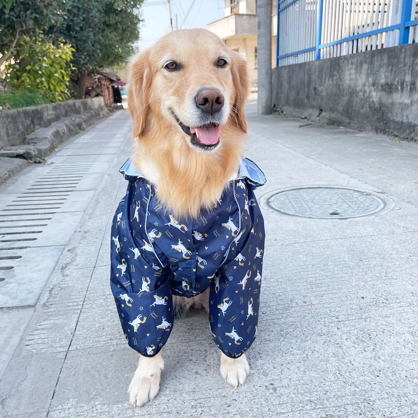 Idepet Regenmantel für Hunde Regenjacke Hund Winddicht Wasserdicht Hundamantel mit Kapuze für kleine und mittelgroße Hunde Regenschutz