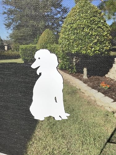 Miniatura 2 de DCentral® Imanes flexibles de vinilo para caniche francés: de doble cara; para pantallas no retráctiles, multiusos, ayuda a dejar de entrar en