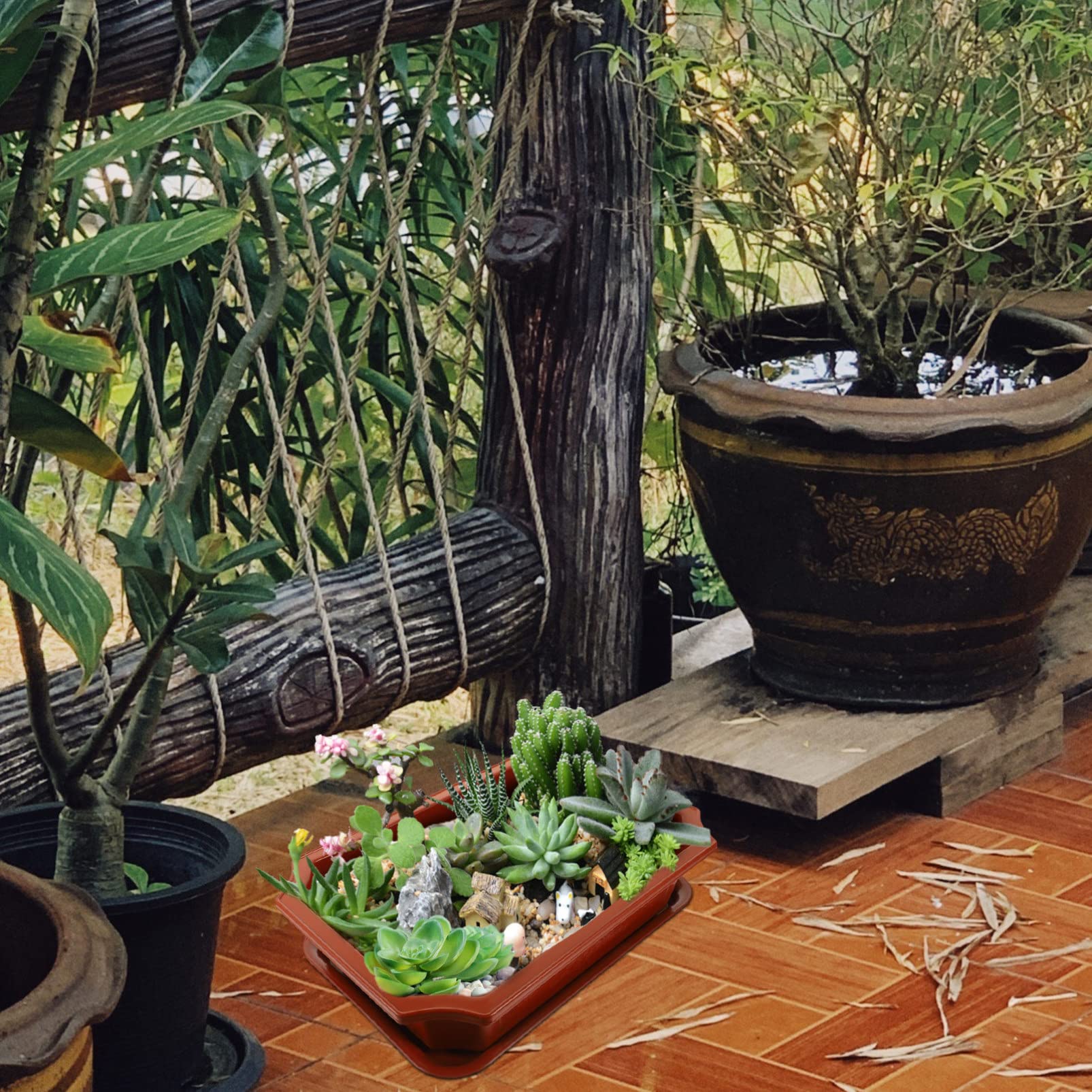 Trwała plastikowa owalna donica z otworami drenażowymi 44,5 x 30 x 17 cm – idealna do bonsai ogrodnictwa wewnątrz i na zewnątrz, wszechstronna doniczka do uprawy w domu i ogrodzie