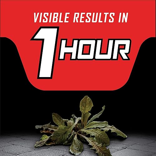 Miniatura 2 de Ortho GroundClear - Supresor de vegetación durante un año