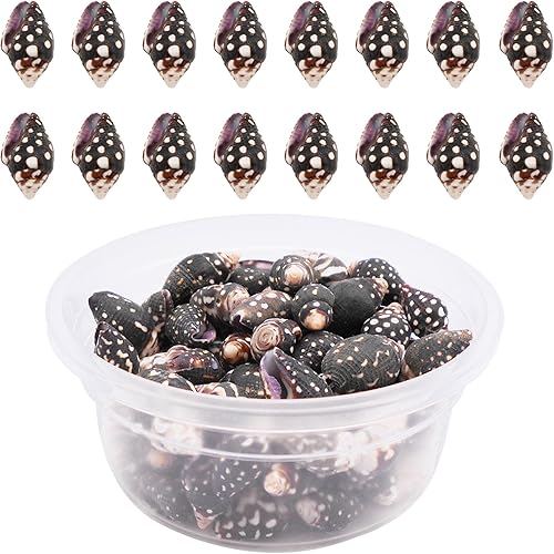 Julie Wang Cerca de 150 piezas de conchas en espiral de playa de concha pequeña de 3.53 oz (3.53 oz), dijes naturales para hacer velas, decoración