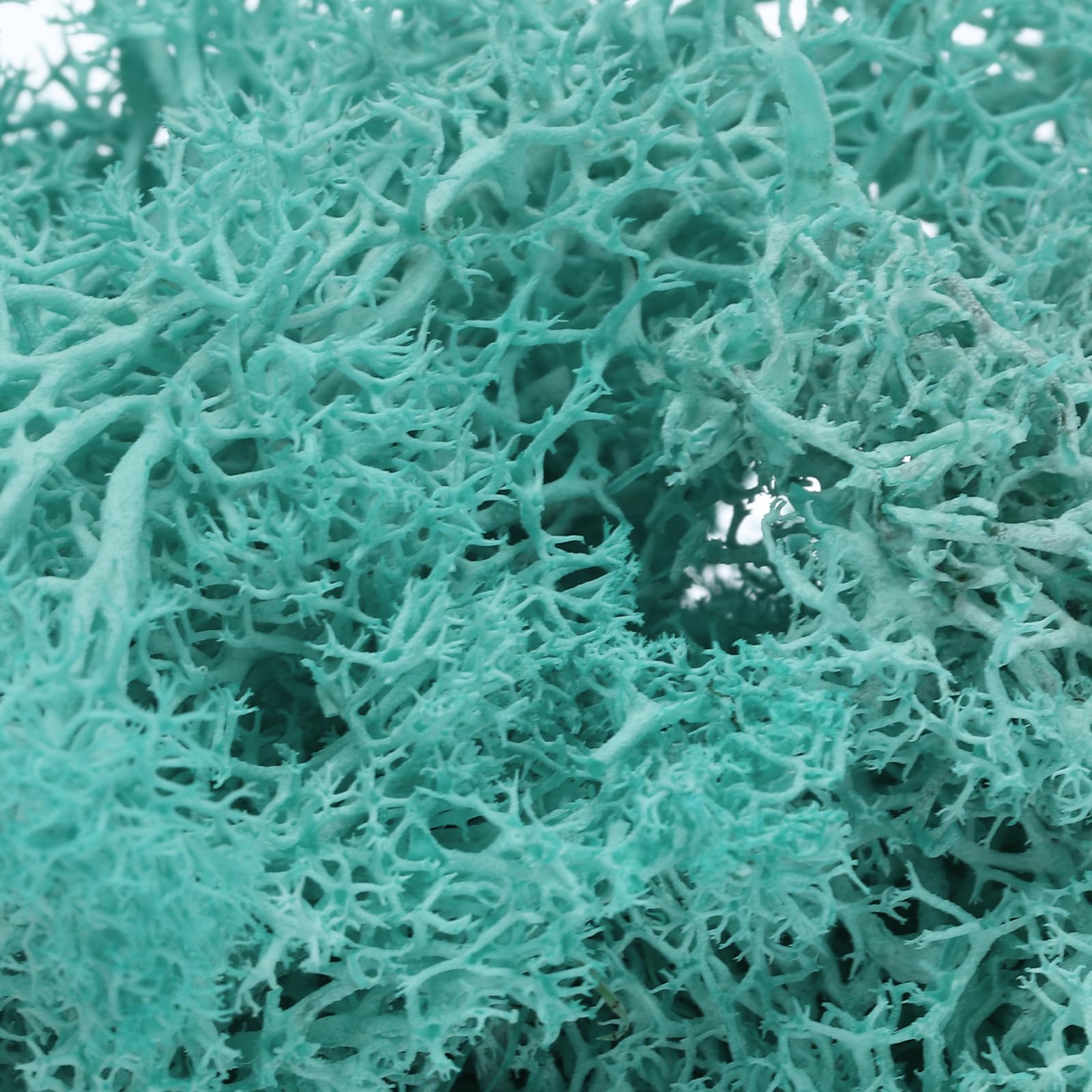 PATIKIL 3.5 OZ Fake Moss, Preserved Reindeer Moss Artificial Moss Lichen Centerpieces Decor Faux Moss for Potted Plants Christmas Craft, Cyan - Image 4