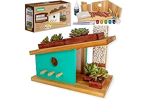 SparkJump Modern Birdhouse Woodworking Kit