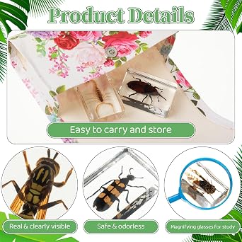 GlikCeil 50 Pcs Insect in Resin Specimen Various Bugs Collection Paperweights Bug Kit Preserved in Resin with 3 Magnifier Marine Animal Specimens for Kids Scientific Educational Display Collection